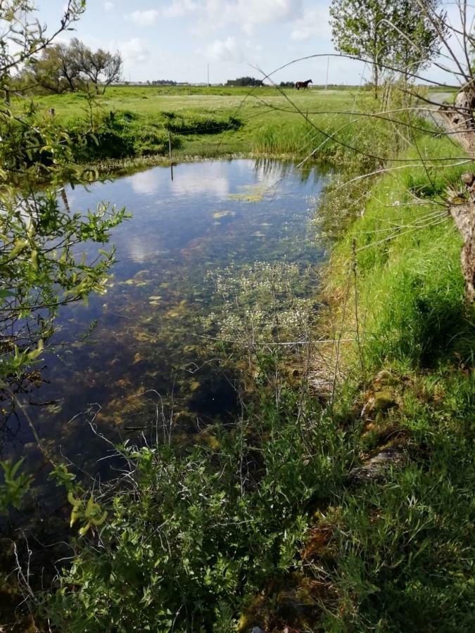 Les Pensions du Joslin Bouin  Extérieur photo